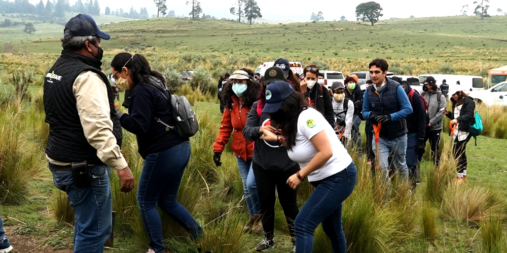 Limpieza de bosques mexicanos — voluntarios retirando basura en zona forestal de México