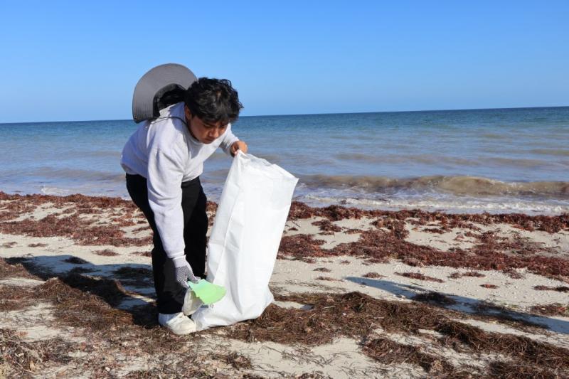 Campaña de limpieza de playas mexicanas — voluntarios recogiendo basura en la costa de Veracruz