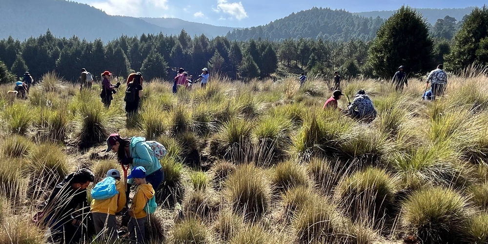 Brigada de limpieza de terrenos baldíos en México — voluntarios retirando residuos sólidos