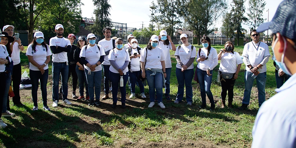 Campaña de reforestación 2025 — voluntarios plantando árboles nativos en México